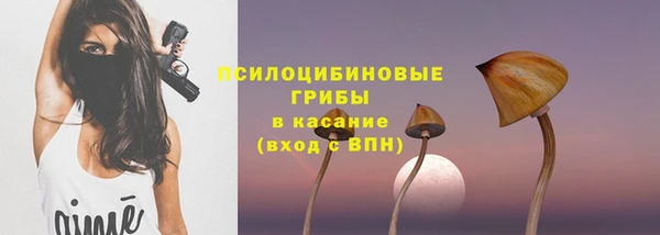 ешки Алзамай