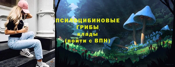 ешки Алзамай