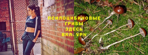 марки lsd Алексеевка